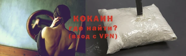 мяу мяу мука Беломорск