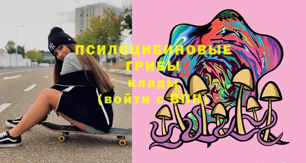 мяу мяу мука Беломорск
