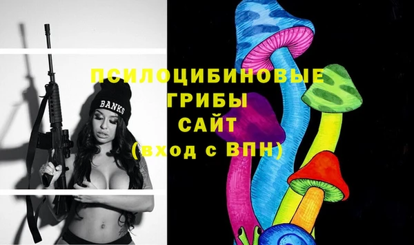мяу мяу мука Беломорск