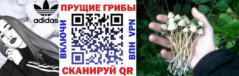 Галлюциногенные грибы MAGIC MUSHROOMS  Краснокаменск 